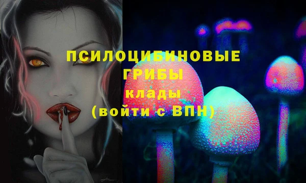 СК Остров